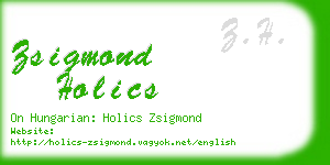 zsigmond holics business card